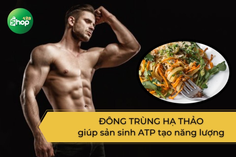 Đông trùng hạ thảo giúp tăng cường sức mạnh cơ bắp