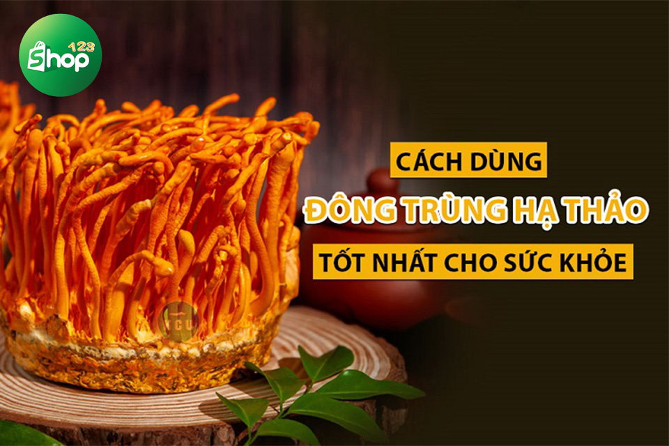 bột đông trùng hạ thảo