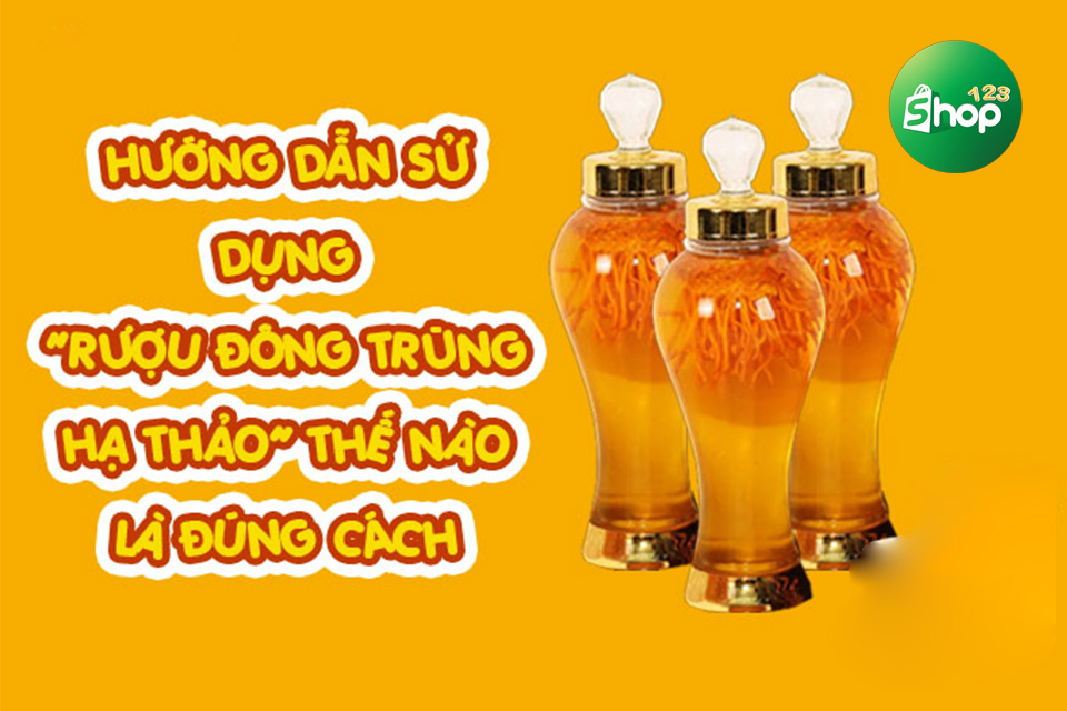 rượu đông trùng hạ thảo việt