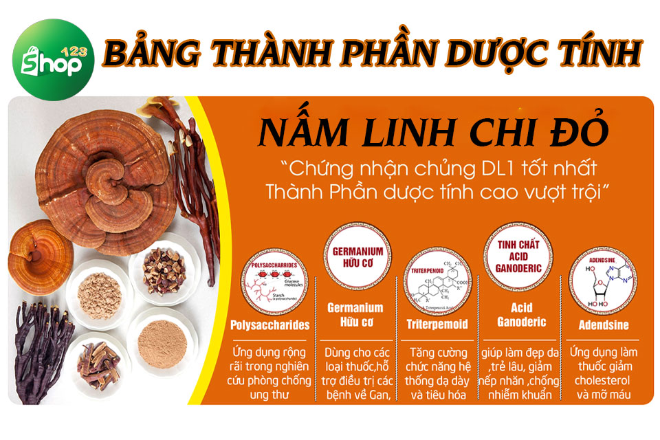 nấm hồng chi