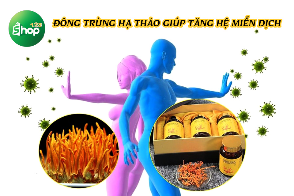 nguồn gốc đông trùng hạ thảo