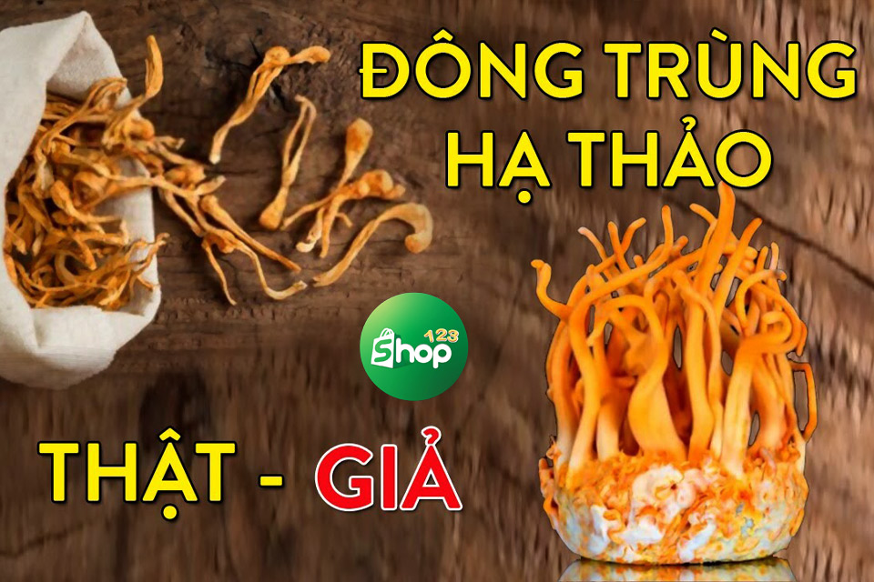 nguồn gốc đông trùng hạ thảo