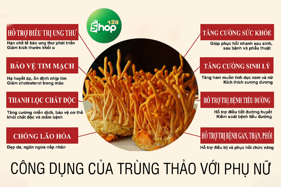 phụ nữ uống đông trùng hạ thảo có tốt không