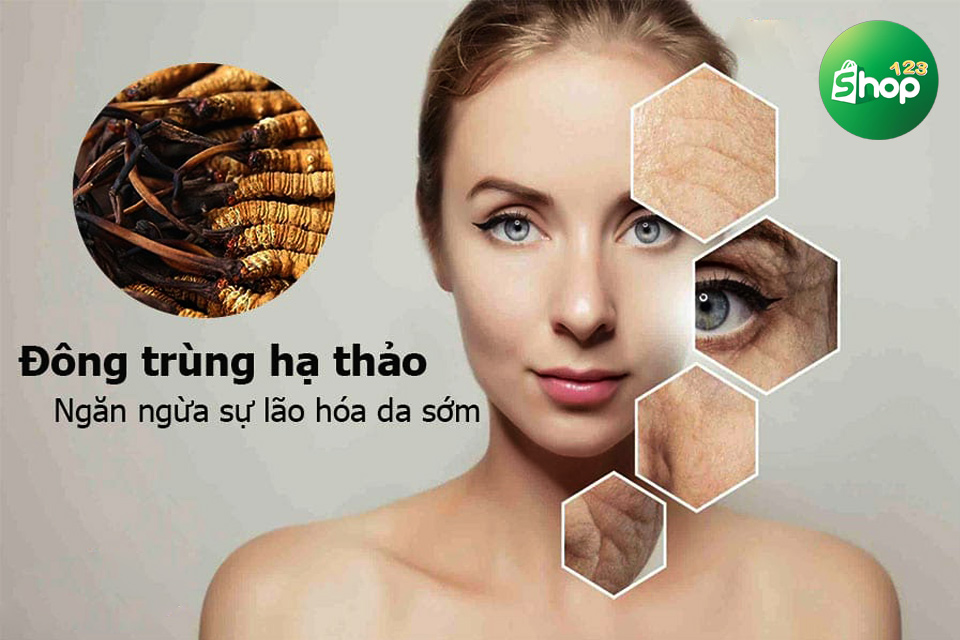 tác dụng của đông trùng hạ thảo với người già