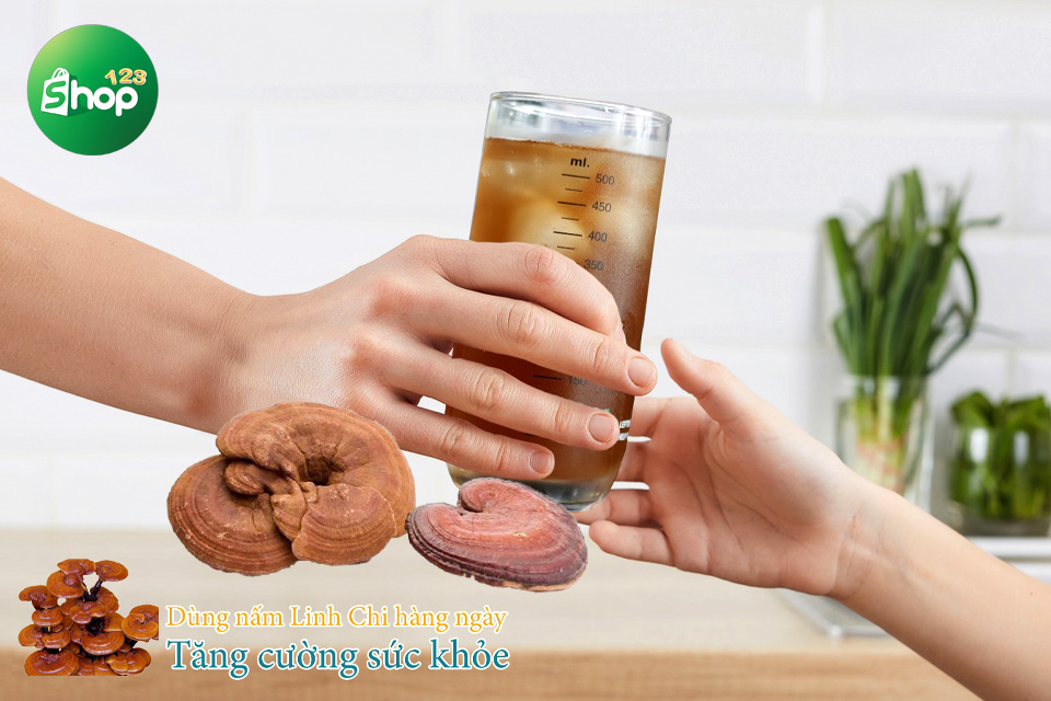 tác dụng của nấm linh chi với phụ nữ