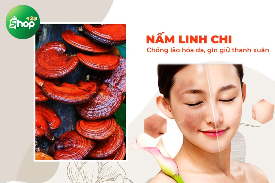 tác dụng của nấm linh chi với phụ nữ