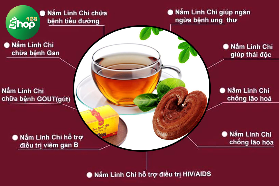 trà nấm linh chi