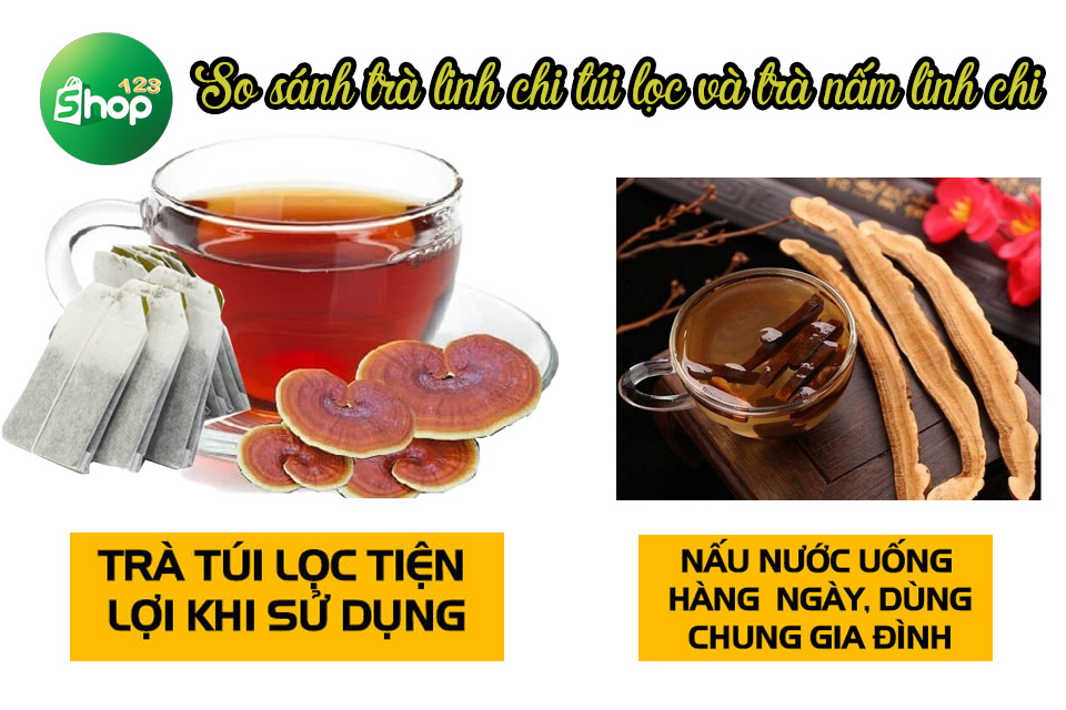 trà nấm linh chi